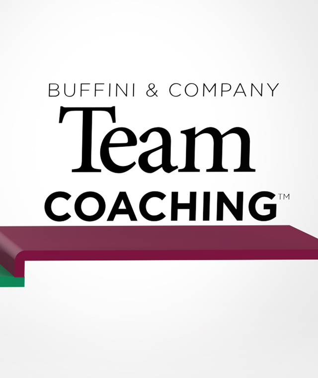 Team Coaching Industry Leader
